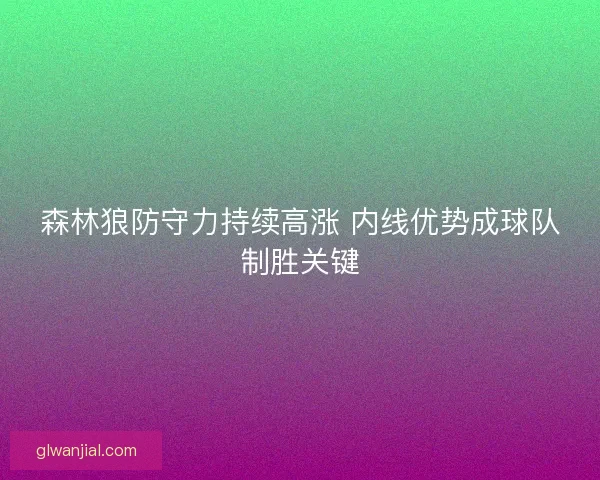 森林狼防守力持续高涨 内线优势成球队制胜关键