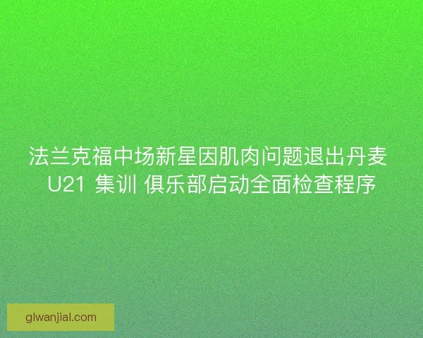 法兰克福中场新星因肌肉问题退出丹麦 U21 集训 俱乐部启动全面检查程序
