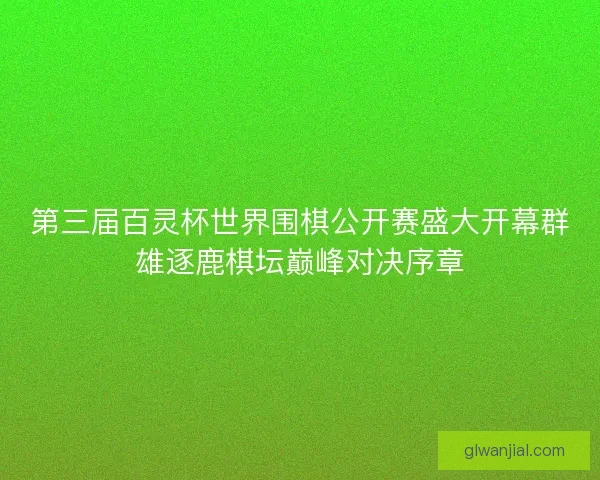 第三届百灵杯世界围棋公开赛盛大开幕群雄逐鹿棋坛巅峰对决序章 第三届百灵杯世界围棋公开赛盛大开幕群雄逐鹿棋坛巅峰对决序章