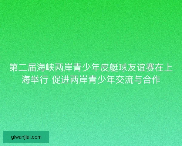 第二届海峡两岸青少年皮艇球友谊赛在上海举行 促进两岸青少年交流与合作